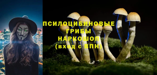 стаф Абинск
