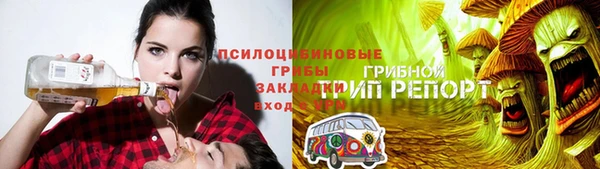 стаф Абинск