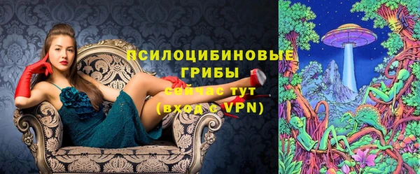 гашик Переславль-Залесский