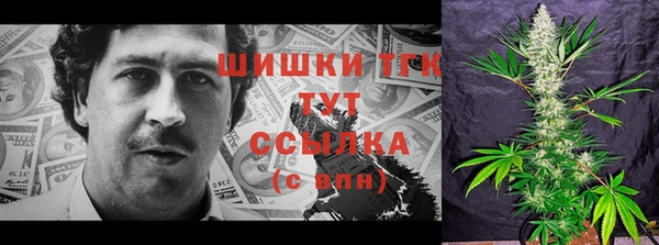стаф Абинск