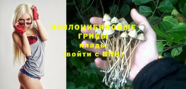 стаф Абинск